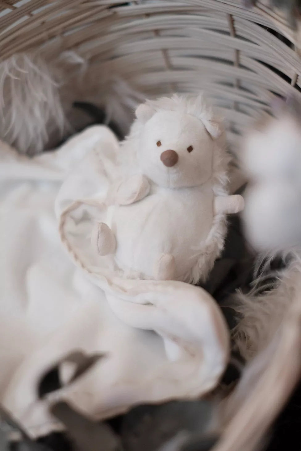 Léon le hérisson - Tartine et chocolat