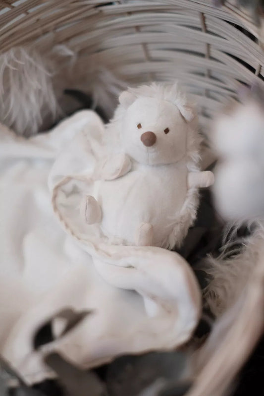 Léon le hérisson - Tartine et chocolat