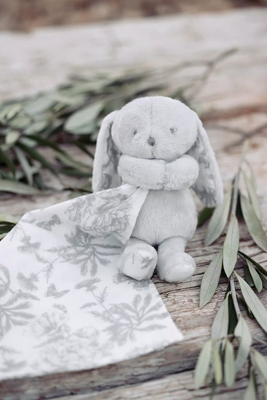 Augustin Le Lapin Gris - Tartine et Chocolat