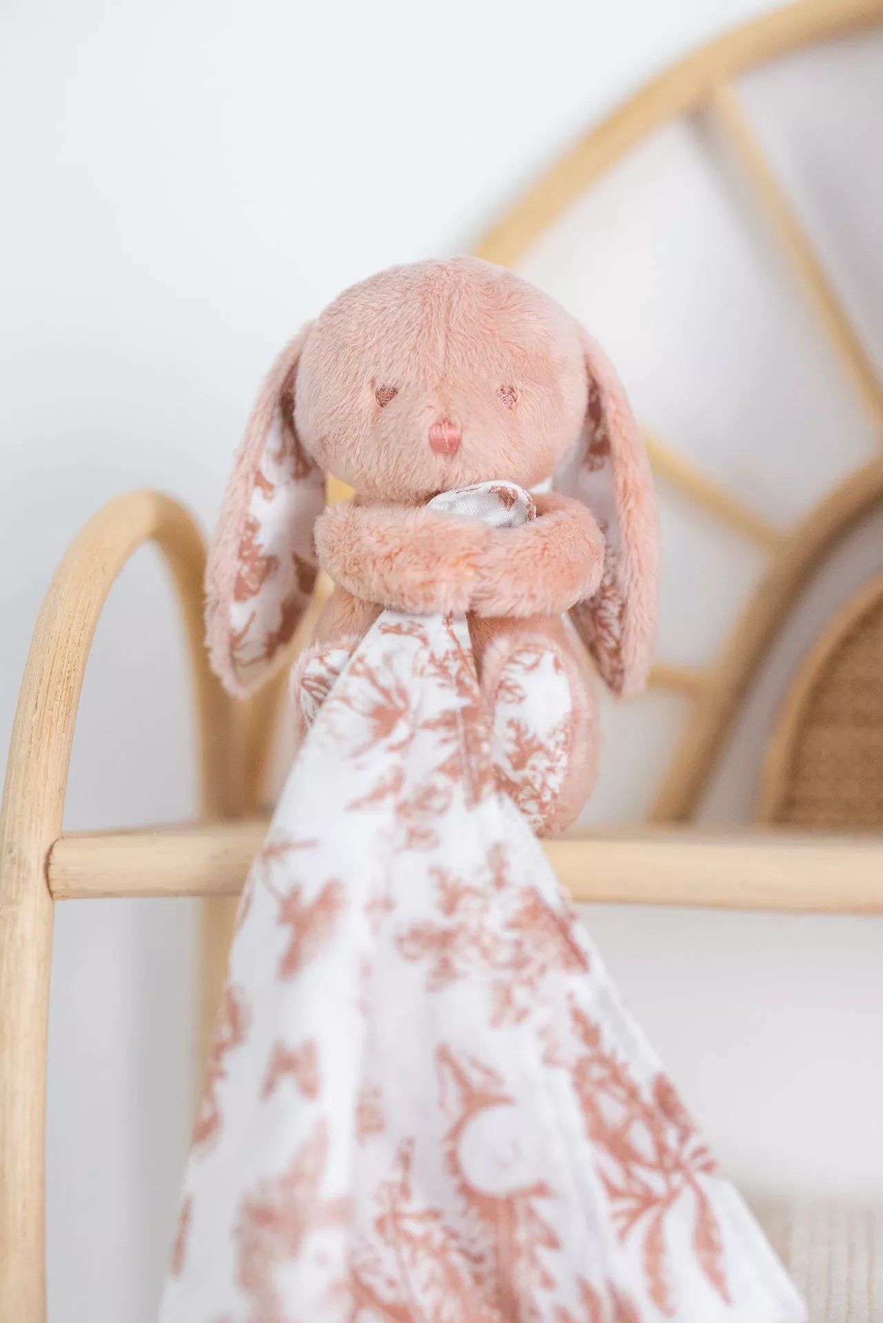 Augustin le Lapin