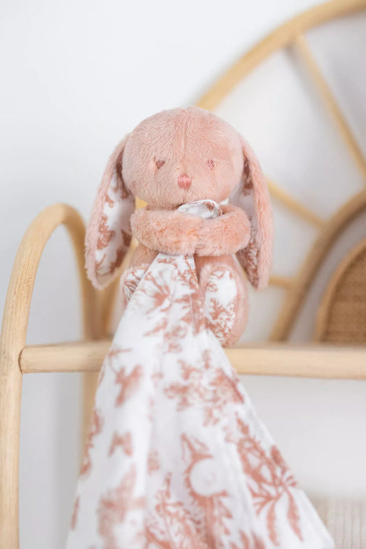Augustin le Lapin