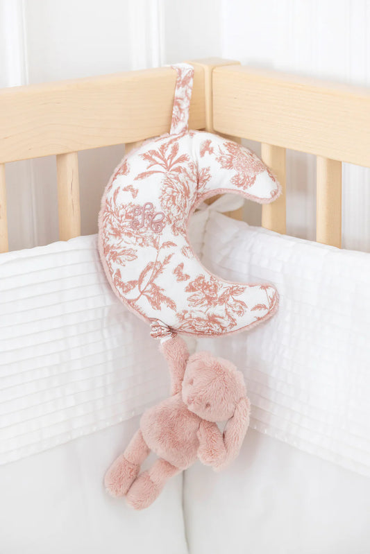 Augustin le lapin musical - TC