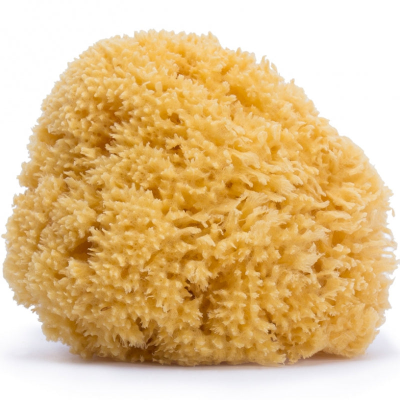 Eponge de bain - Suavinex