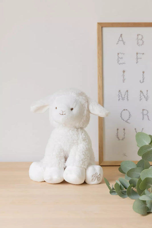 Edmond le mouton 25cm Ecru - TC