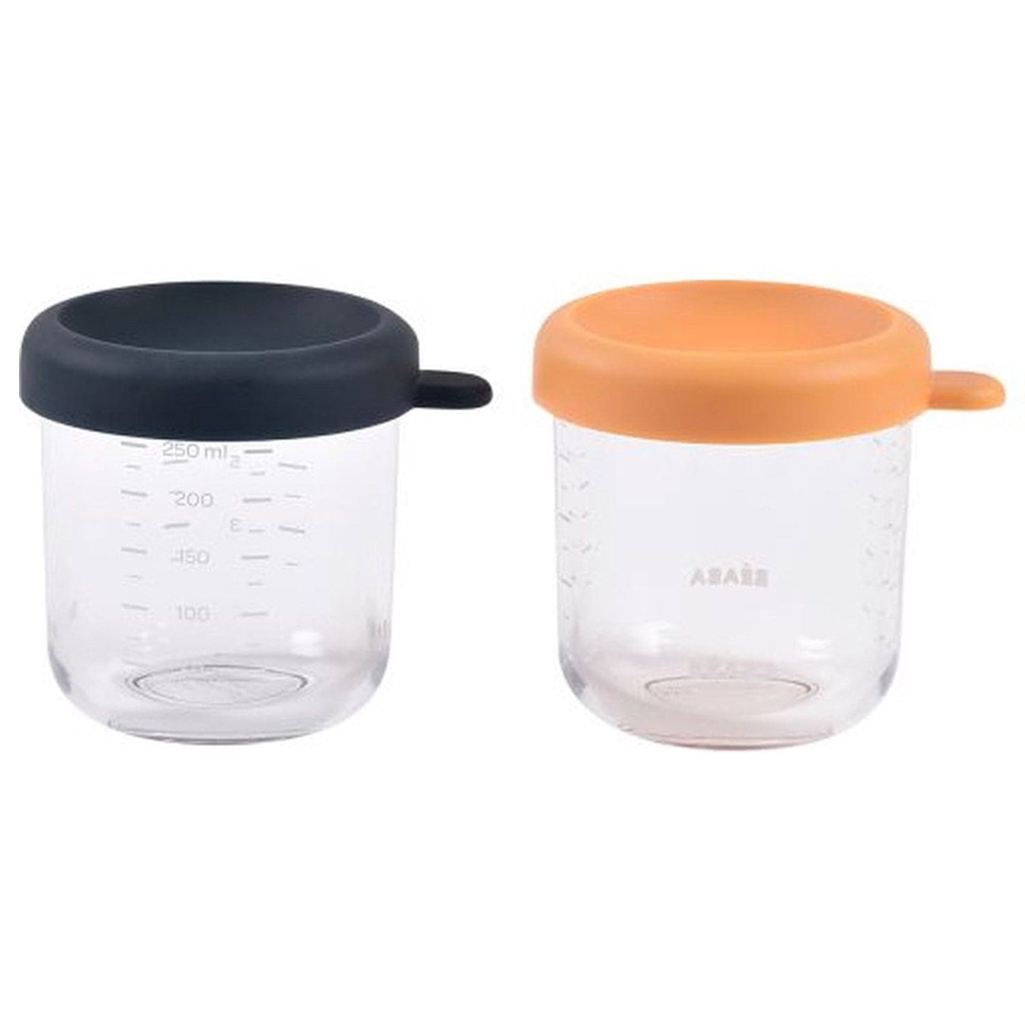 Lot 2 pots de conservation en verre 2 x 250 ml