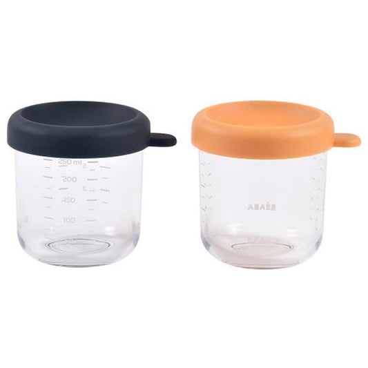 Lot 2 pots de conservation en verre 2 x 250 ml